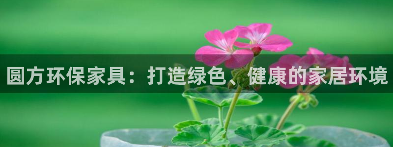 杏耀测速网址电脑版