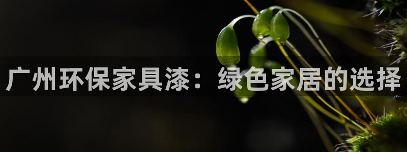 杏耀平台官方网站