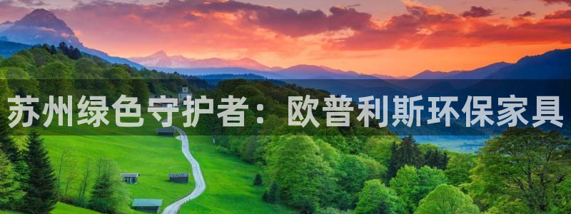 杏耀总代
