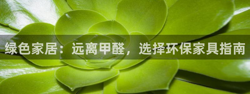 杏耀主管qq