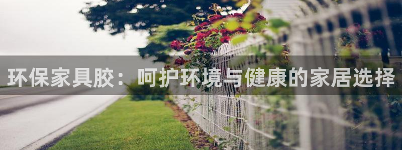 杏耀代理主管qq