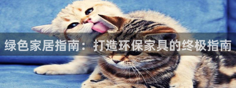 杏耀平台网站是什么