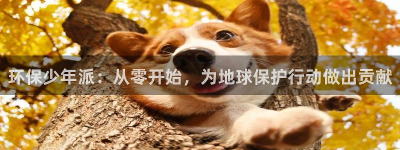 杏耀官网游戏：环保少年派：从零开始，为地球保护行动做出贡献