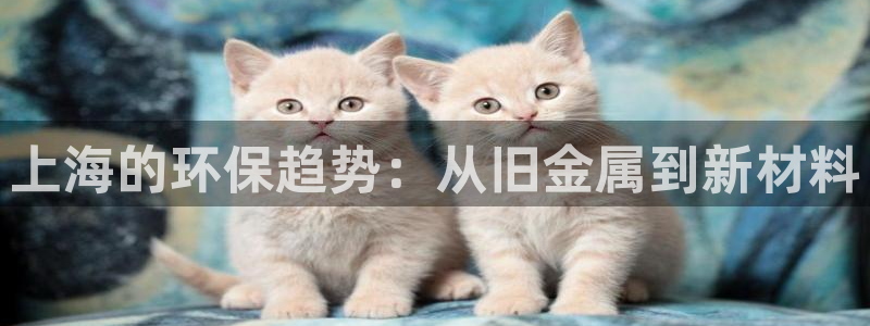 杏耀平台代理