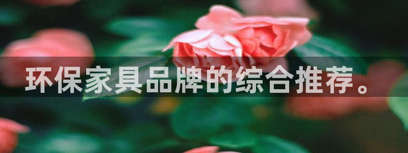 杏耀app怎样申请：环保家具品牌的综合推荐。