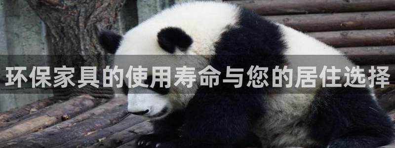 杏耀平台线路测试：环保家具的使用寿命与您的居住选择