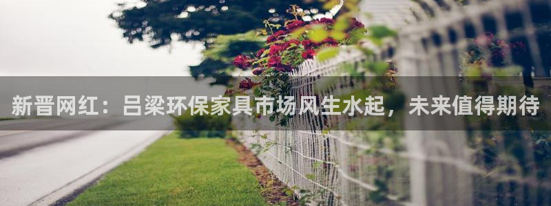 杏耀平台服务中心电话号码：新晋网红：吕梁环保家具市场风生水起