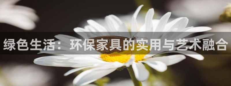 杏耀登录网页：绿色生活：环保家具的实用与艺术融合