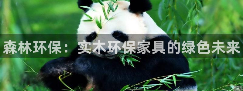 杏耀平台注册流程：森林环保：实木环保家具的绿色未来