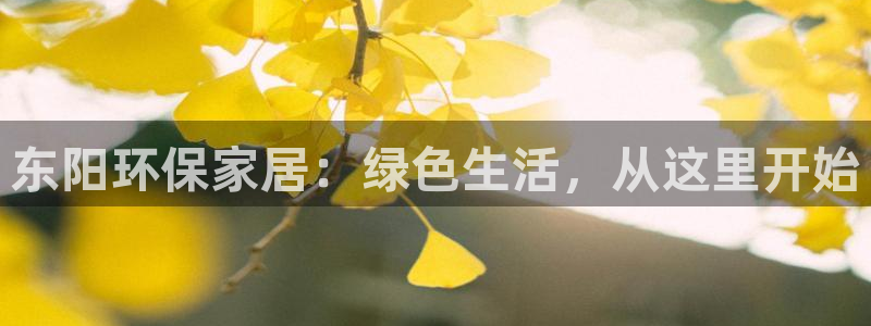 杏耀平台分红：东阳环保家居：绿色生活，从这里开始