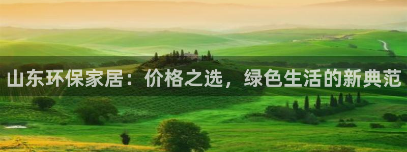 杏耀平台注册网址：山东环保家居：价格之选，绿色生活的新典范
