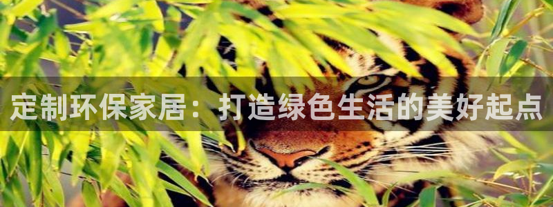 杏耀总代理：定制环保家居：打造绿色生活的美好起点