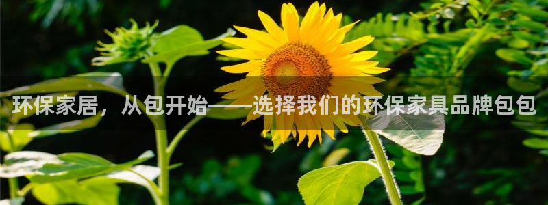 杏耀平台登陆官网