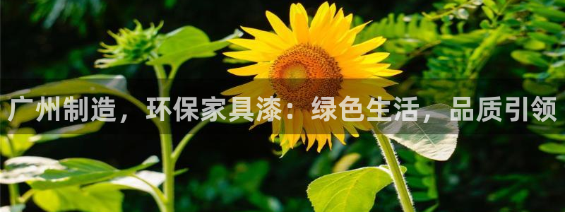 杏耀平台手机登录：广州制造，环保家具漆：绿色生活，品质引领