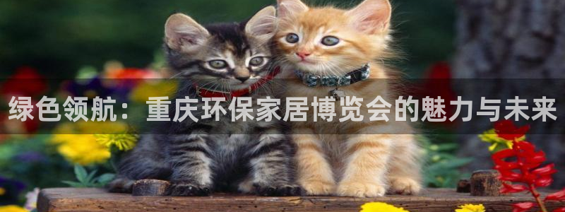 杏耀平台代理怎么赚钱快