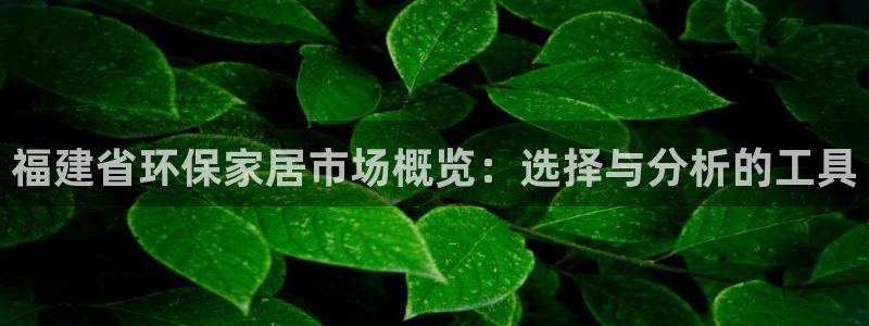 杏耀平台代理注册多少钱一年：福建省环保家居市场概览：选择与分