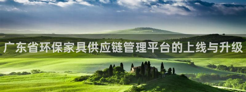 杏耀官网游戏：广东省环保家具供应链管理平台的上线与升级