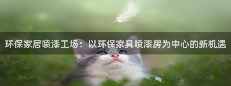 杏耀软件：环保家居喷漆工场：以环保家具喷漆房为中心的新机遇