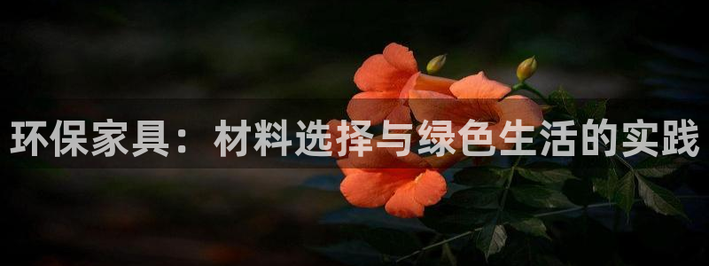 杏耀3代理