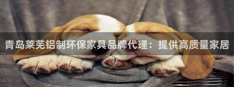 杏耀平台注册问一问：青岛莱芜铝制环保家具品牌代理：提供高质量