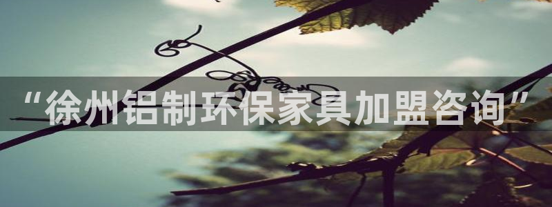 杏耀平台网页版：“徐州铝制环保家具加盟咨询”