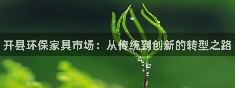 杏耀平台登陆官网：开县环保家具市场：从传统到创新的转型之路