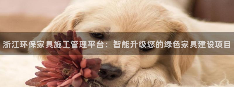 杏耀官网注册地址：浙江环保家具施工管理平台：智能升级您的绿色
