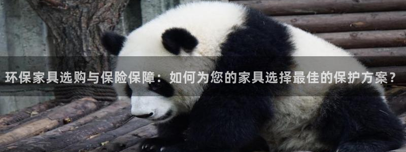 杏耀总代：环保家具选购与保险保障：如何为您的家具选择最佳的保