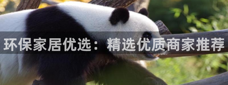 杏耀客户端登陆