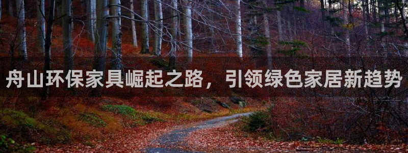 杏耀平台网站是什么