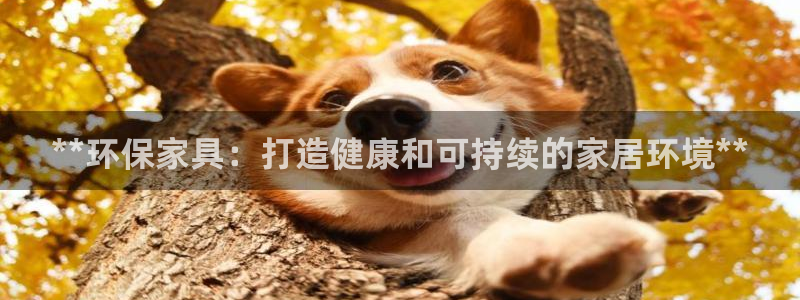 杏耀平台注册会员：**环保家具：打造健康和可持续的家居环境*